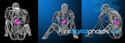 3d Rendering Medical Illustration Of The Stomach Stock Image