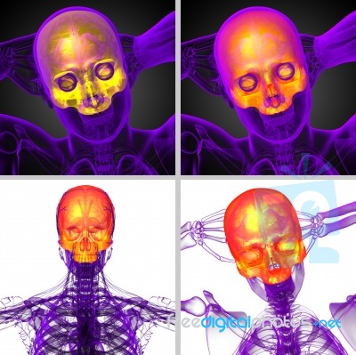 3d Rendering Medical Illustration Of The Upper Skull Stock Image