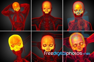 3d Rendering Medical Illustration Of The Upper Skull Stock Image