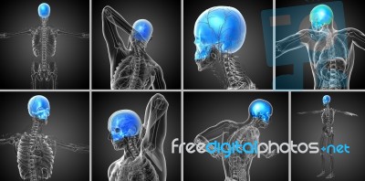 3d Rendering Medical Illustration Of The Upper Skull Stock Image