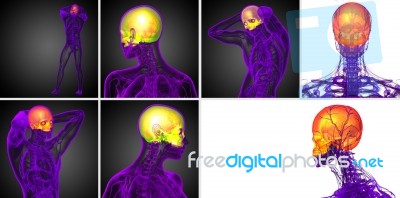 3d Rendering Medical Illustration Of The Upper Skull Stock Image