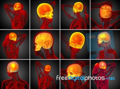 3d Rendering  Medical Illustration Of The Upper Skull Stock Image