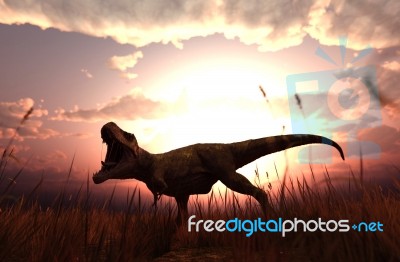 3d Rendering Of A Dinosaurs In Grass Field Stock Image