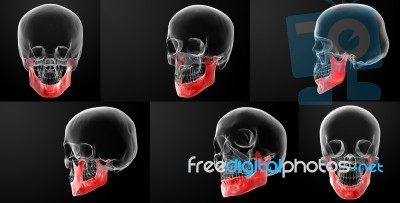 3d Rendering Of Human Skull-upper Half Stock Image