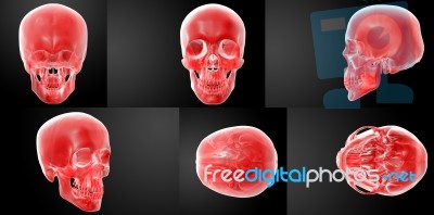 3d Rendering Red Skull On Black Background Stock Image