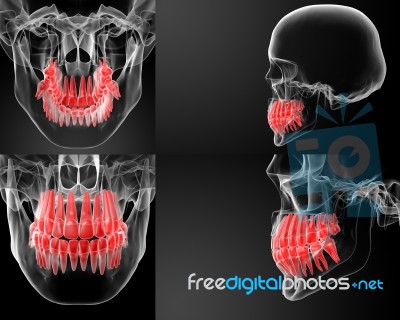 3d Rendering Skull With Visible Red Teeth Stock Image