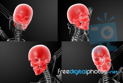 3d Rendering Skull X-rays Stock Image