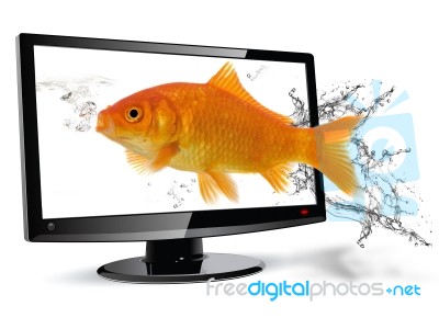 3D Television Stock Image