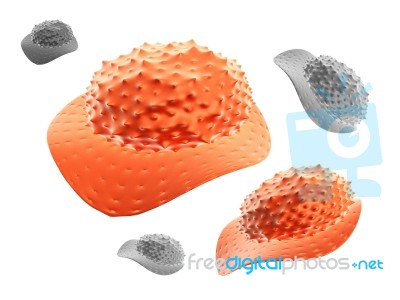 3d Virus Stock Image