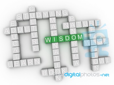 3d Wisdom Concept Word Cloud Stock Image