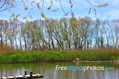 A Beatiful Landscape With Reflection And Blue Sky Stock Photo