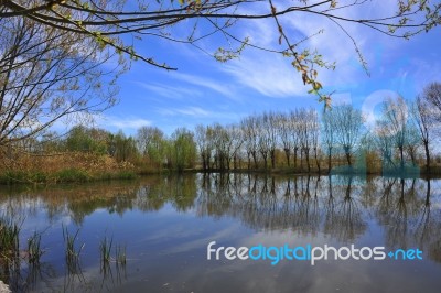 A Beautiful Landscape With Reflection And Blue Sky Stock Photo