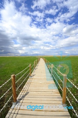 A Bridge On The Lake Stock Photo