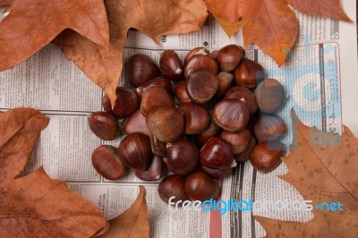 A Bunch Of Sweet Chestnuts Stock Photo