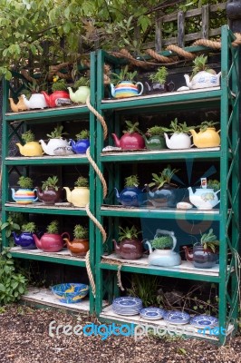 A Collection Of Teapots With Plants In Them At Thorpeness Stock Photo