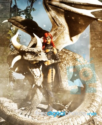 A Female Warrior With A Dragon,fantasy 3d Rendering For Book Cover Stock Image