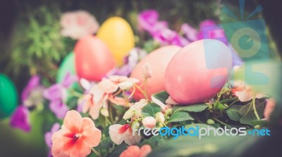 A Few Colorful Easter Eggs At The Green Garden Happy Easter Stock Photo