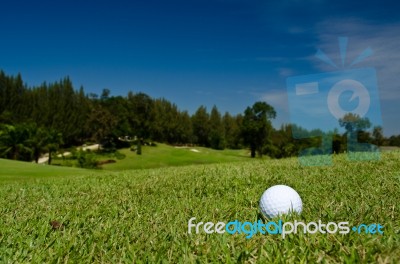 A Golf Ball Stock Photo