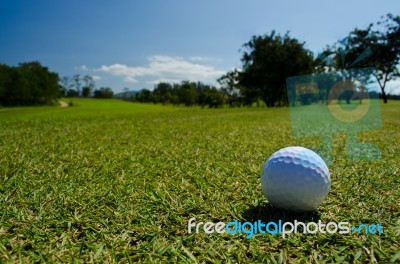 A Golf Ball Stock Photo