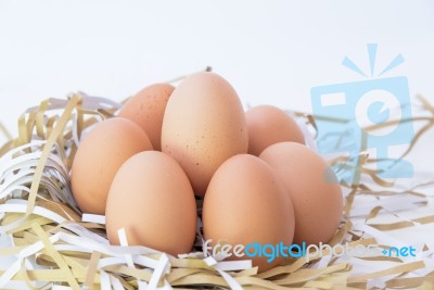 A Group Of Chicken Eggs Stock Photo