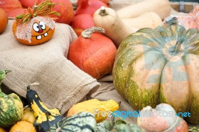 A Group Of Colourful Gourds In Friedrichsdorf Stock Photo