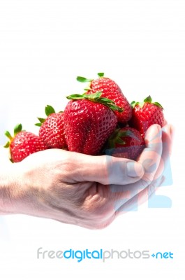 A Handful Of Strawberries Stock Photo