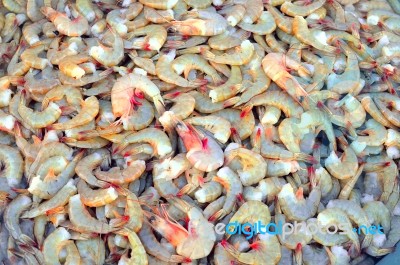 A Lot Of Head-on Shrimps In The Market Stock Photo