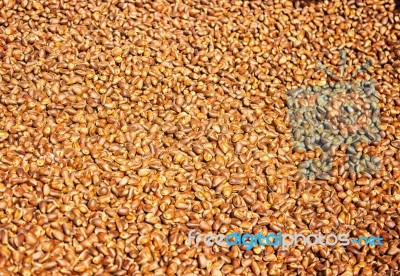 A Lot Of Pine Nuts Stock Photo