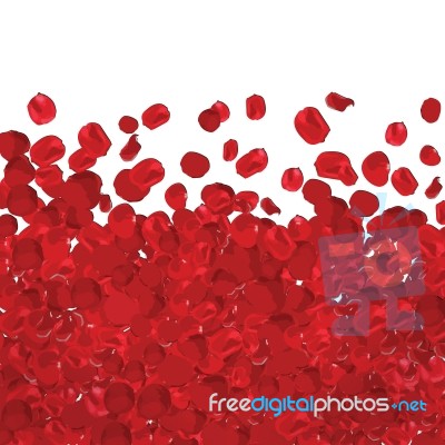 A Lot Of Red Rose Petals Isolated - Illustrator Stock Image