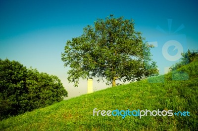 A Monument Next To A Tree Stock Photo