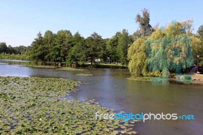 A Natural River Stock Photo