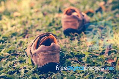 A Pair Of Leather Shoes On Green Grass. Retro Style Effect Stock Photo