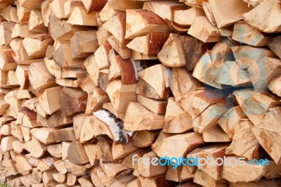 A Stack Of Birch Wood Stock Photo