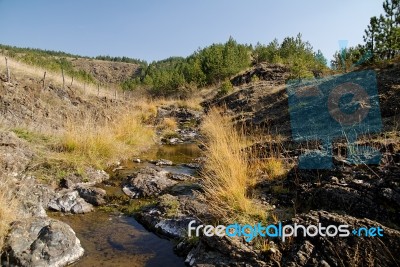 A Stream In Autumn Stock Photo