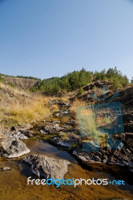 A Stream In Autumn Stock Photo