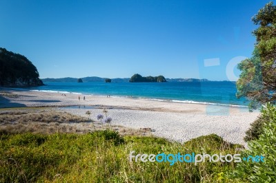 A Summer Evening At Hahei Beach In New Zealand Stock Photo