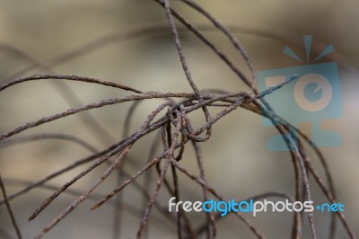 A Tangle Of Rusty Wire Stock Photo