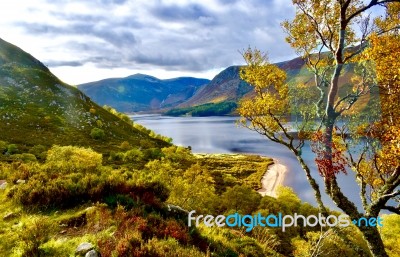 A Tree, A Mountain And A Lake Stock Photo