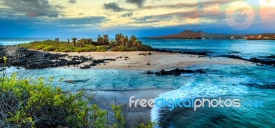 A View Of The Galapagos Stock Photo