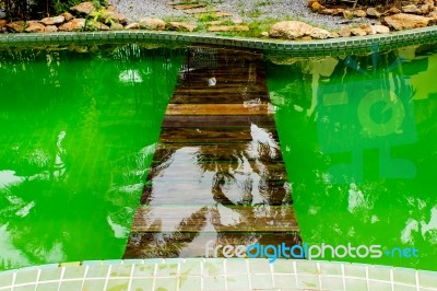 A Wooden Bridge In A Swimming Pool Stock Photo