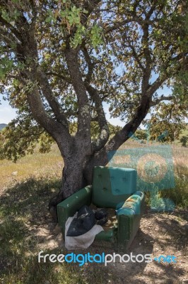 Abandoned Armchair In Nature Stock Photo