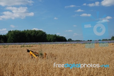 Abandoned Machinery Stock Photo