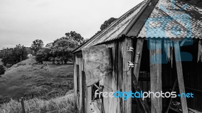 Abandoned Outback Farming Shed In Queensland Stock Photo