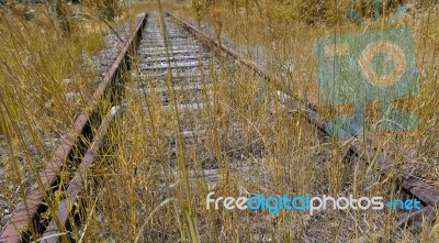 Abandoned Railway Stock Photo