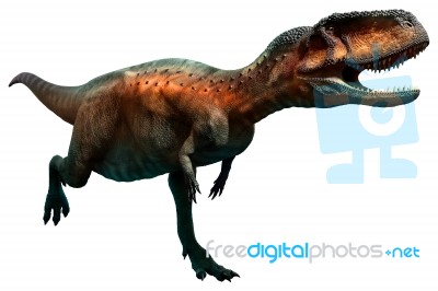 Abelisaurus Stock Image