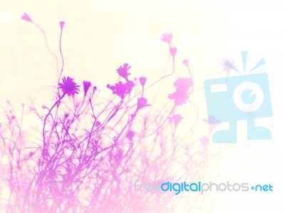 Abstract Background From Small Pretty  Daisy Flower , Purple Col… Stock Photo