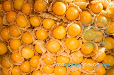 Abstract Background Of Cape Gooseberry Stock Photo