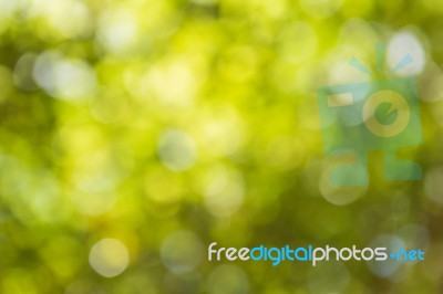 Abstract Blur Of Nature With Bokhe Of Light Through The Trees Stock Photo