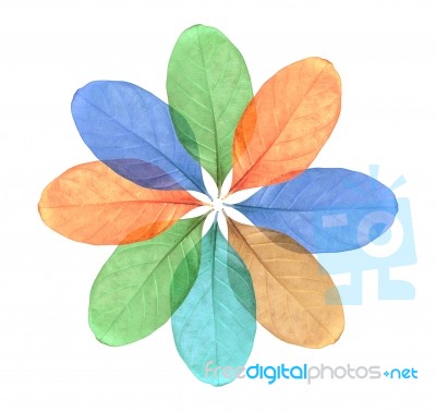 Abstract Colorful Leaves Stock Photo