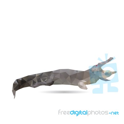 Abstract Crocodile Isolated Stock Image